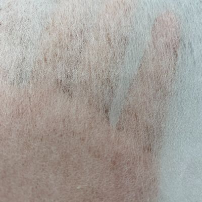 Gaoxin Polyester/Viscose Chemical Bond Niet-geweven stof voor het tussenvoeren van kledingstukken