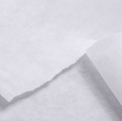 20-80GSM 100% polyester dubbelpuntig niet-geweven splijtstof