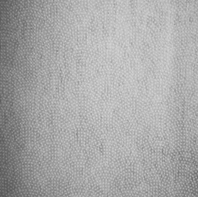 PA/PES bedekte en dot fuse bloem dot 100% polyester niet-geweven interlining voor kleding